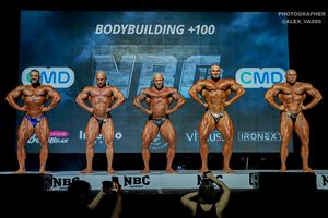 BODYBUILDING +100